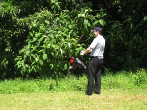 Zimbabwe's Leopard Rock