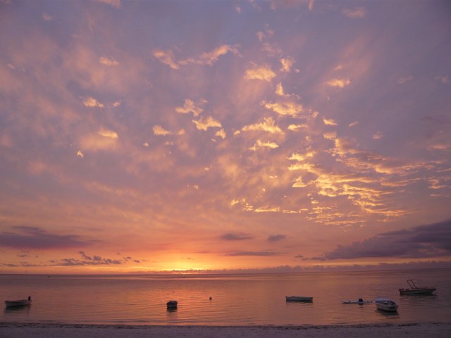 Picture by Hayley Barlow