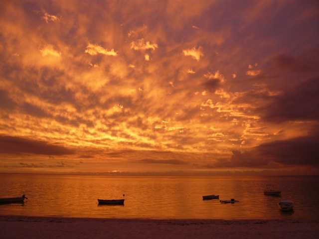 Picture by Hayley Barlow