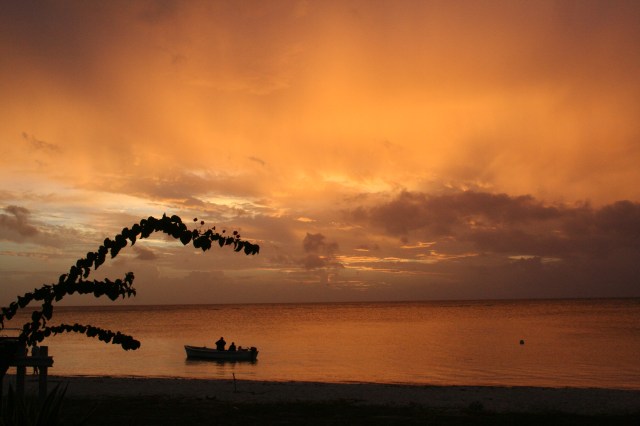 Picture by Hayley Barlow