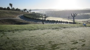 Bom Sucesso, Portugal